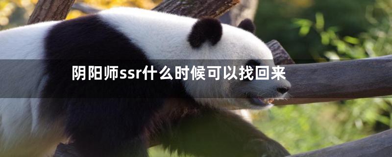 阴阳师ssr什么时候可以找回来