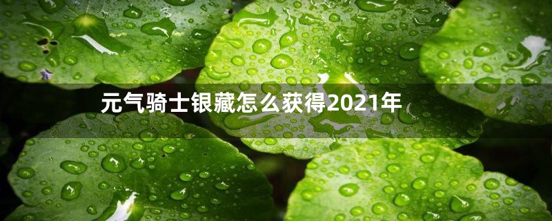 元气骑士银藏怎么获得2021年