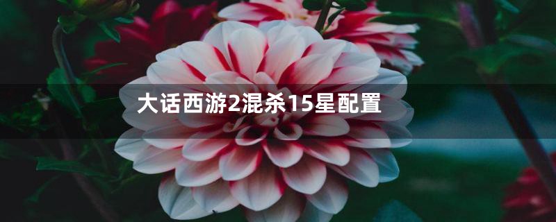 大话西游2混杀15星配置