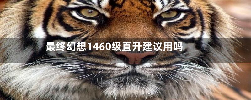 最终幻想1460级直升建议用吗