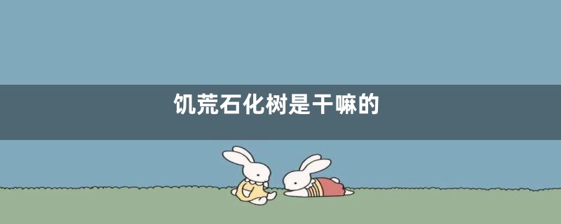 饥荒石化树是干嘛的