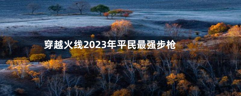 穿越火线2023年平民最强步枪