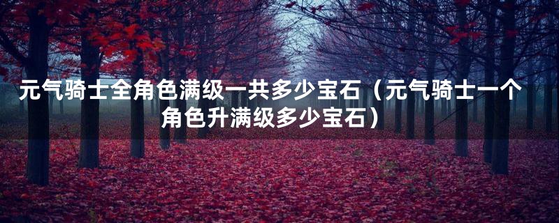 元气骑士全角色满级一共多少宝石（元气骑士一个角色升满级多少宝石）