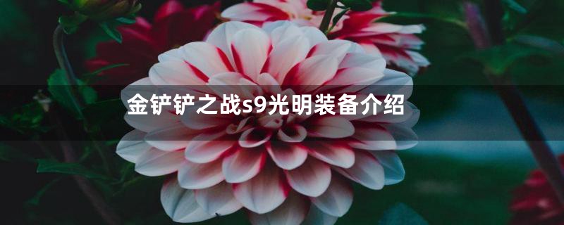 金铲铲之战s9光明装备介绍