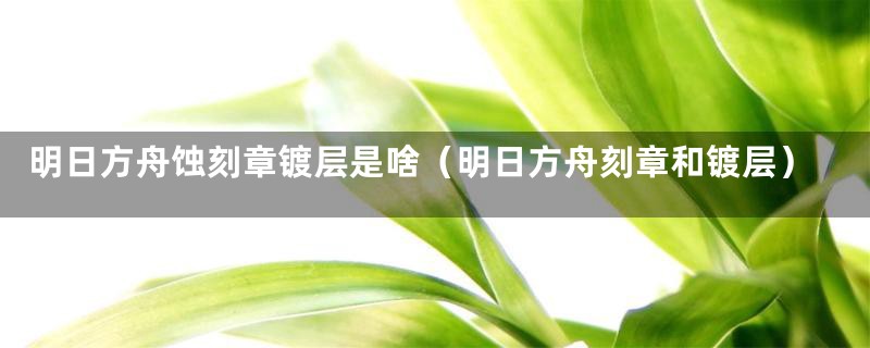 明日方舟蚀刻章镀层是啥（明日方舟刻章和镀层）