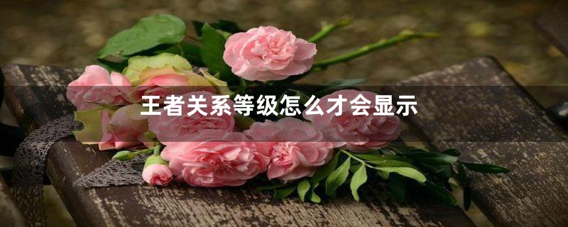 王者关系等级怎么才会显示