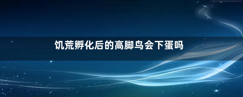 饥荒孵化后的高脚鸟会下蛋吗