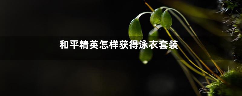 和平精英怎样获得泳衣套装