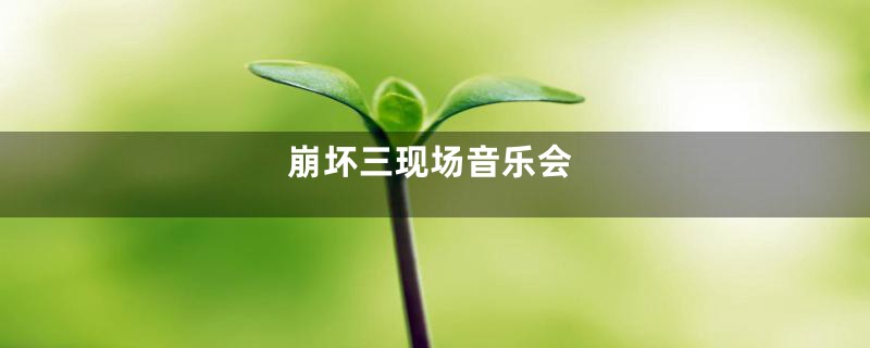 崩坏三现场音乐会