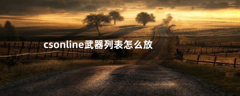 csonline武器列表怎么放