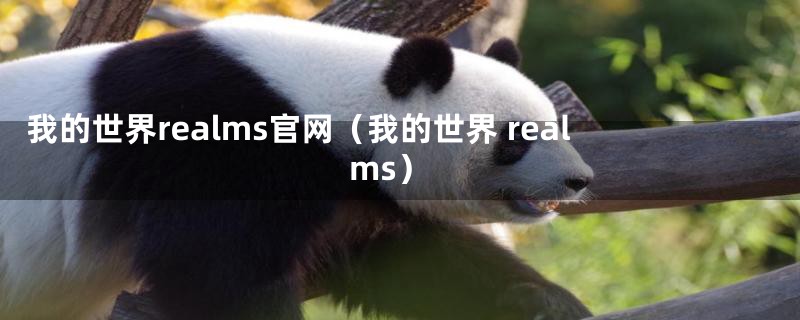 我的世界realms官网（我的世界 realms）