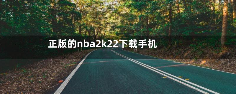 正版的nba2k22下载手机