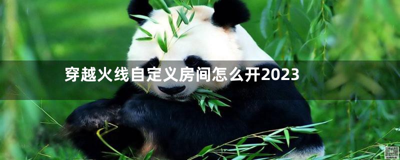 穿越火线自定义房间怎么开2023