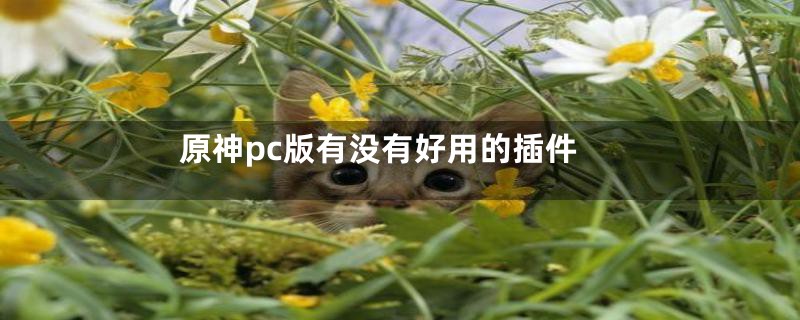 原神pc版有没有好用的插件