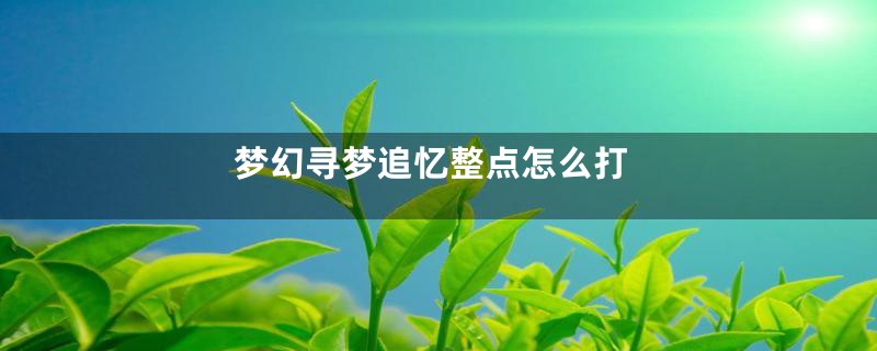 梦幻寻梦追忆整点怎么打