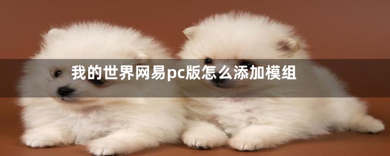 我的世界网易pc版怎么添加模组