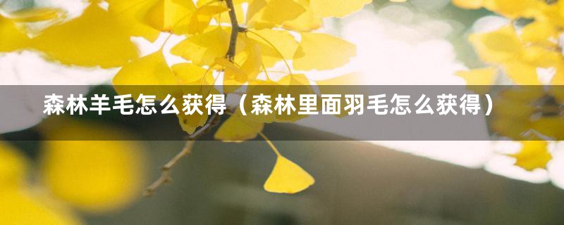 森林羊毛怎么获得（森林里面羽毛怎么获得）