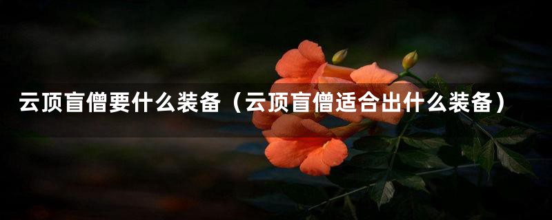 云顶盲僧要什么装备（云顶盲僧适合出什么装备）