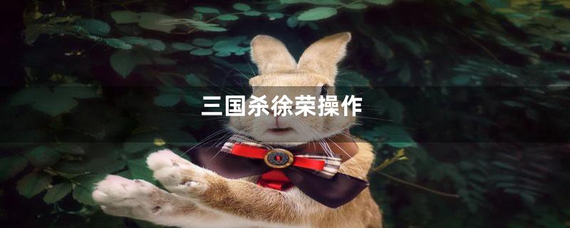 三国杀徐荣操作