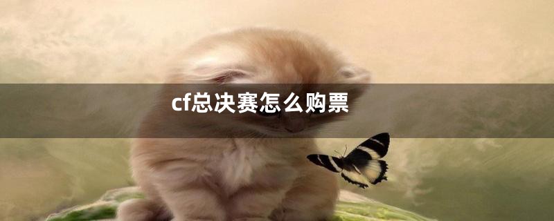 cf总决赛怎么购票