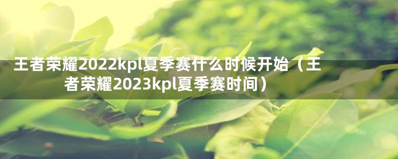 王者荣耀2022kpl夏季赛什么时候开始（王者荣耀2023kpl夏季赛时间）