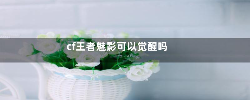 cf王者魅影可以觉醒吗