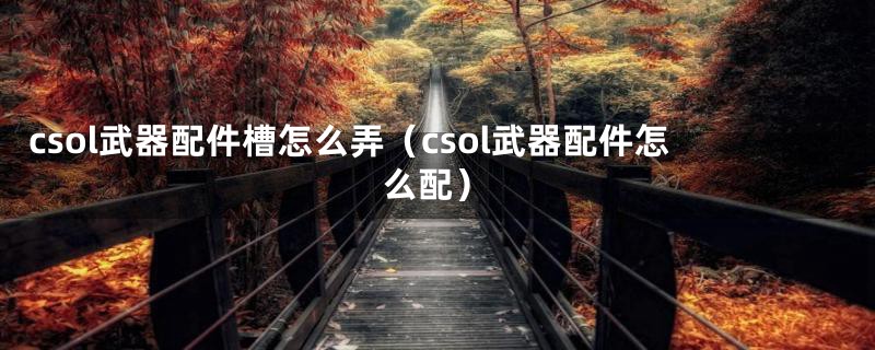 csol武器配件槽怎么弄（csol武器配件怎么配）