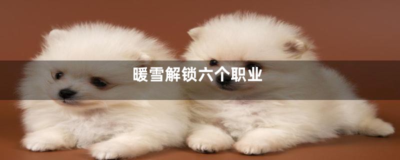 暖雪解锁六个职业