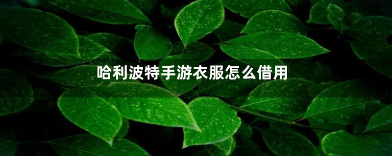 哈利波特手游衣服怎么借用