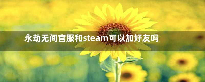 永劫无间官服和steam可以加好友吗