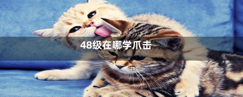 48级在哪学爪击