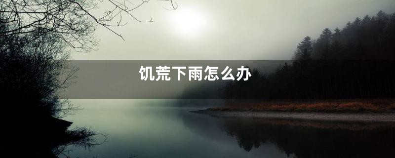 饥荒下雨怎么办