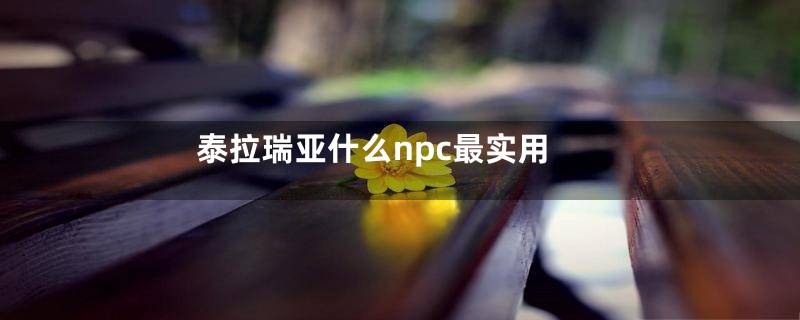 泰拉瑞亚什么npc最实用