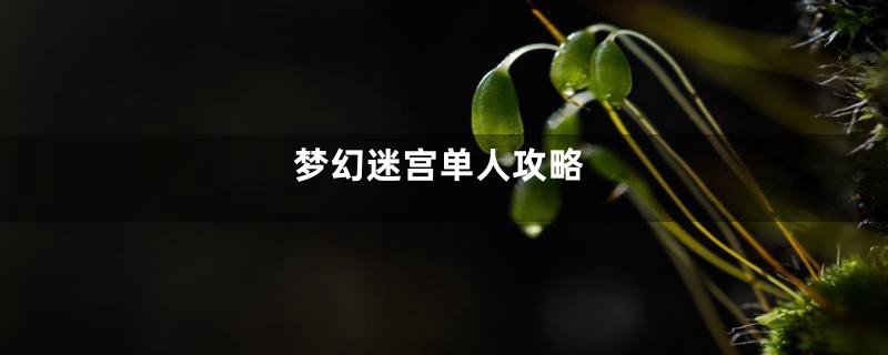 梦幻迷宫单人攻略