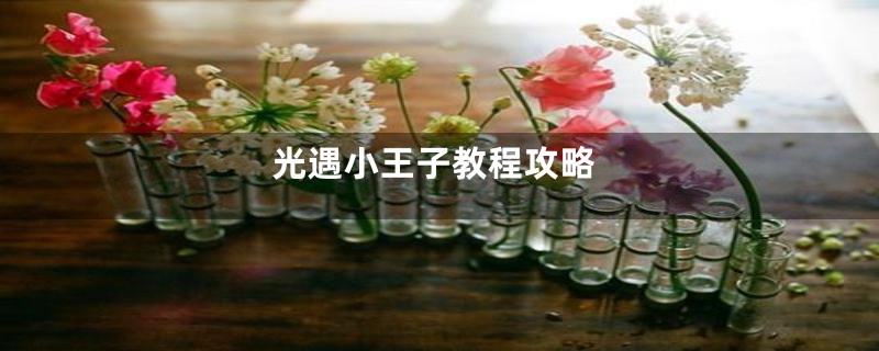 光遇小王子教程攻略