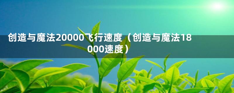 创造与魔法20000飞行速度（创造与魔法18000速度）