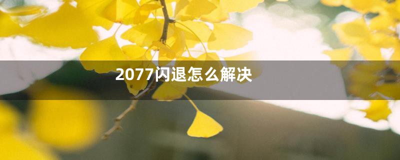 2077闪退怎么解决