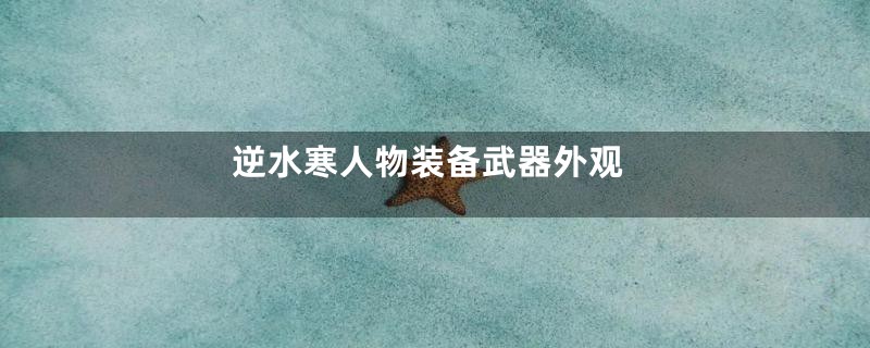 逆水寒人物装备武器外观