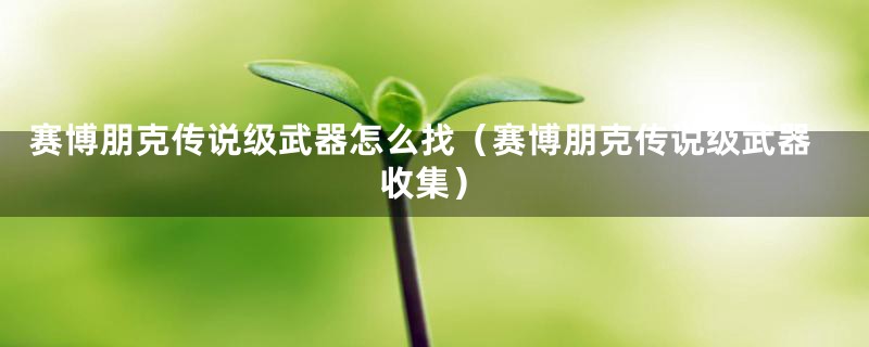 赛博朋克传说级武器怎么找（赛博朋克传说级武器收集）