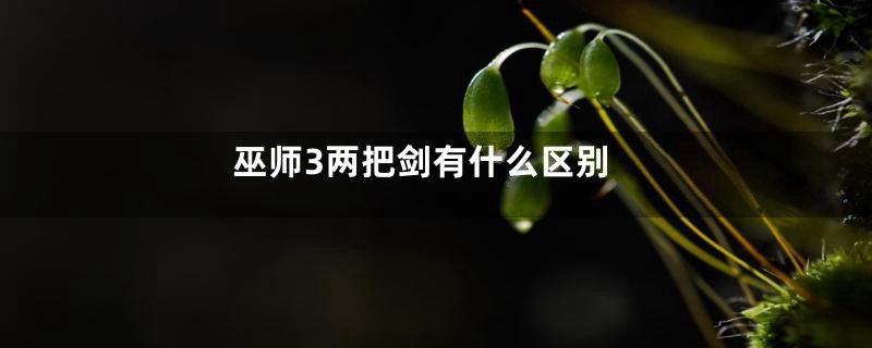 巫师3两把剑有什么区别