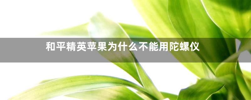 和平精英苹果为什么不能用陀螺仪