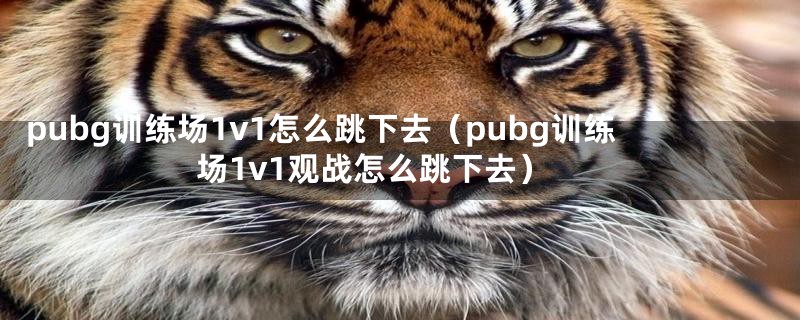 pubg训练场1v1怎么跳下去（pubg训练场1v1观战怎么跳下去）