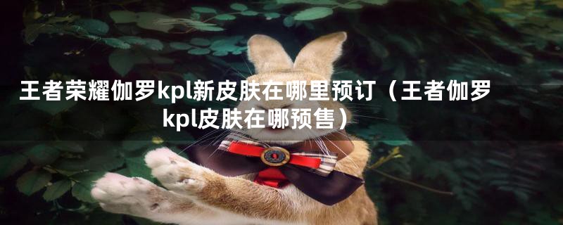 王者荣耀伽罗kpl新皮肤在哪里预订（王者伽罗kpl皮肤在哪预售）