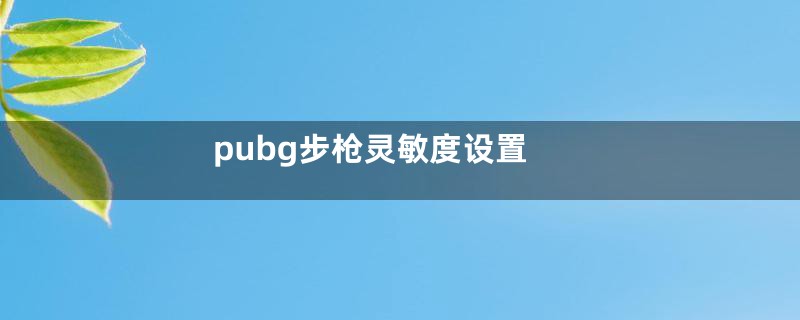 pubg步枪灵敏度设置