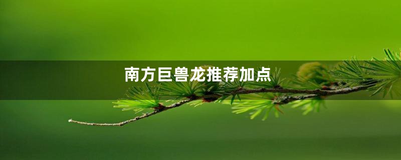 南方巨兽龙推荐加点