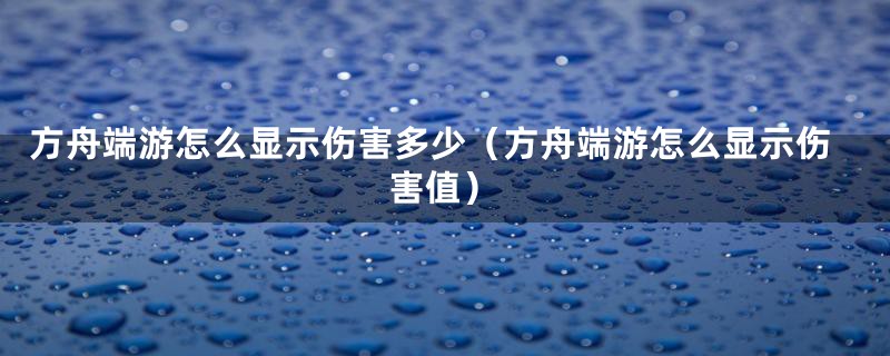 方舟端游怎么显示伤害多少（方舟端游怎么显示伤害值）