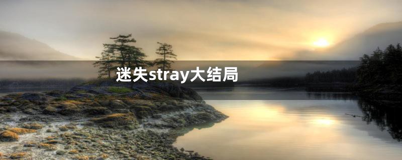 迷失stray大结局