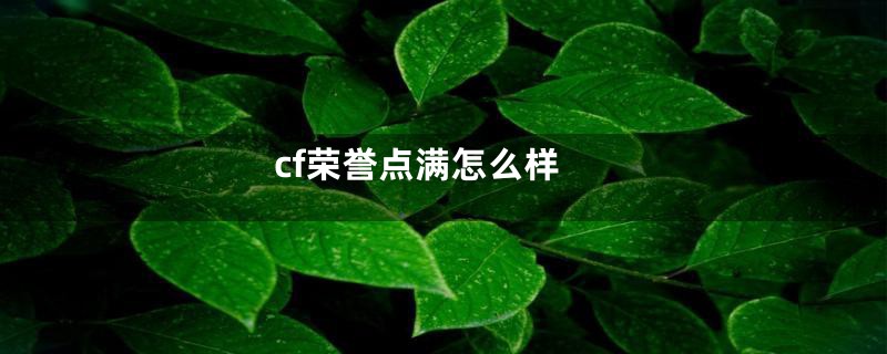 cf荣誉点满怎么样