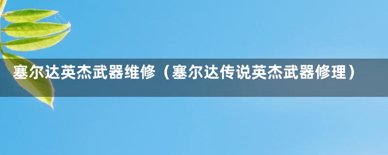 塞尔达英杰武器维修（塞尔达传说英杰武器修理）