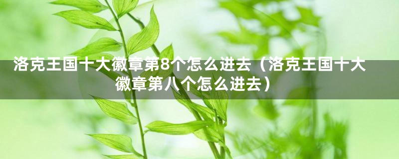 洛克王国十大徽章第8个怎么进去（洛克王国十大徽章第八个怎么进去）